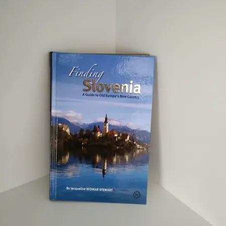 Apartma Modern And Classic Meet Ljubljana